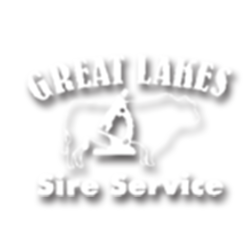 Great Lakes Sire Service
